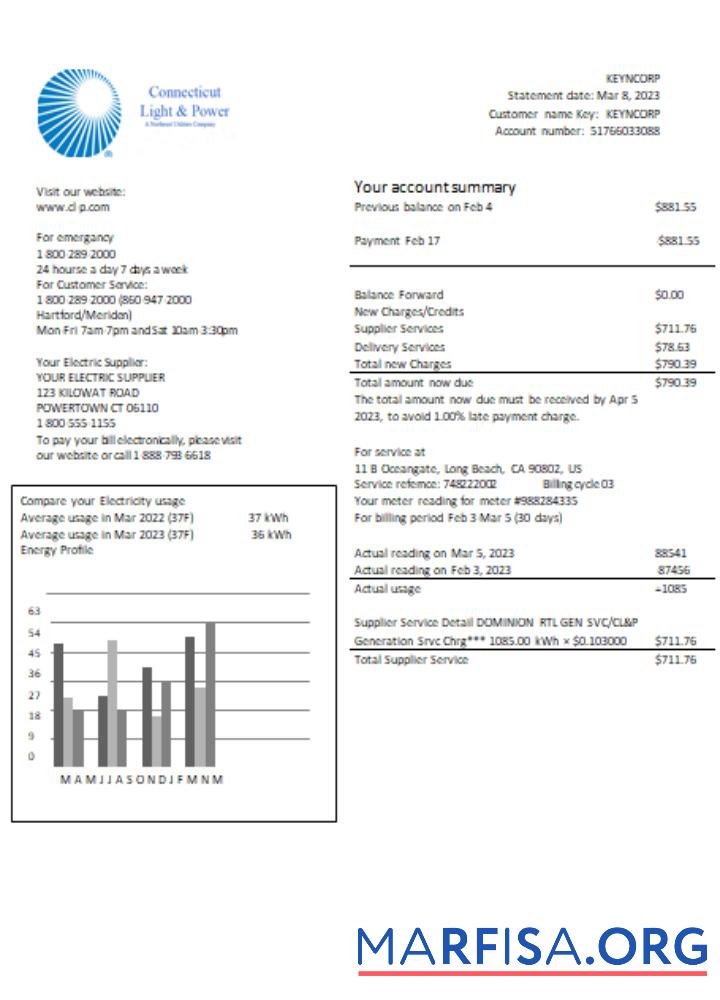 Realistic Connecticut Light & Power electricity utility business bill, SCR template